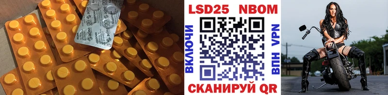ЛСД экстази кислота блэк спрут как войти Новый Уренгой