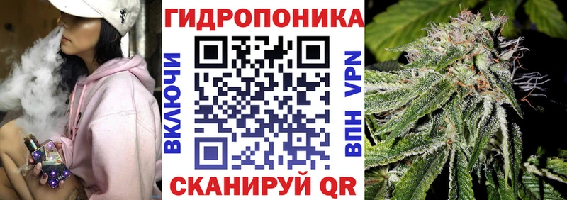 Каннабис семена Новый Уренгой